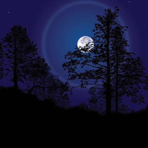 moonring.jpeg